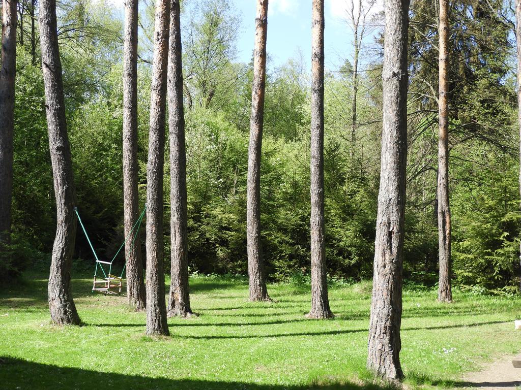 Chata Dasa High Tatras Mlynceky Zewnętrze zdjęcie
