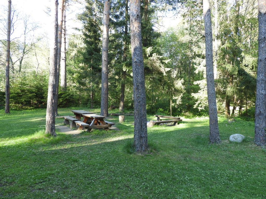 Chata Dasa High Tatras Mlynceky Zewnętrze zdjęcie